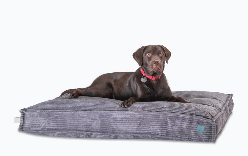Подушка ортопедична для собак Harley & Cho Memory Foam Gray M  3102964 фото